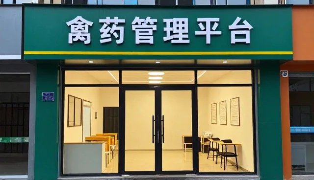 技术开发选型中的关键考量因素分析